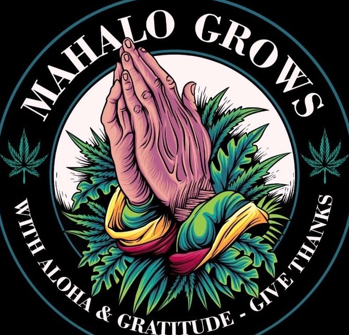 Mahalo Grows logo: praying hands over cannabis leaves, with the words With Aloha and Gratitude, Give Thanks
