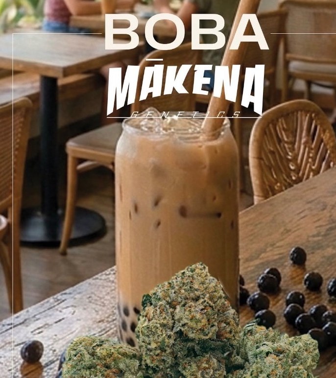 Mākena Genetics Boba flyer with a boba tea and flower on a café table
